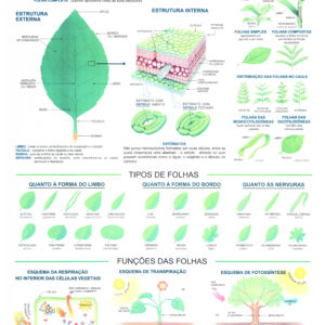 Mapa Prancha A Folha - Ref 079