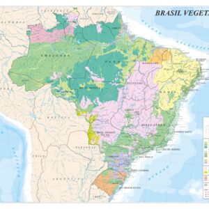 Mapa do Brasil Vegetação