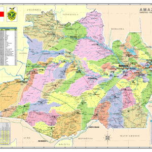 Mapa do estado do amazonas