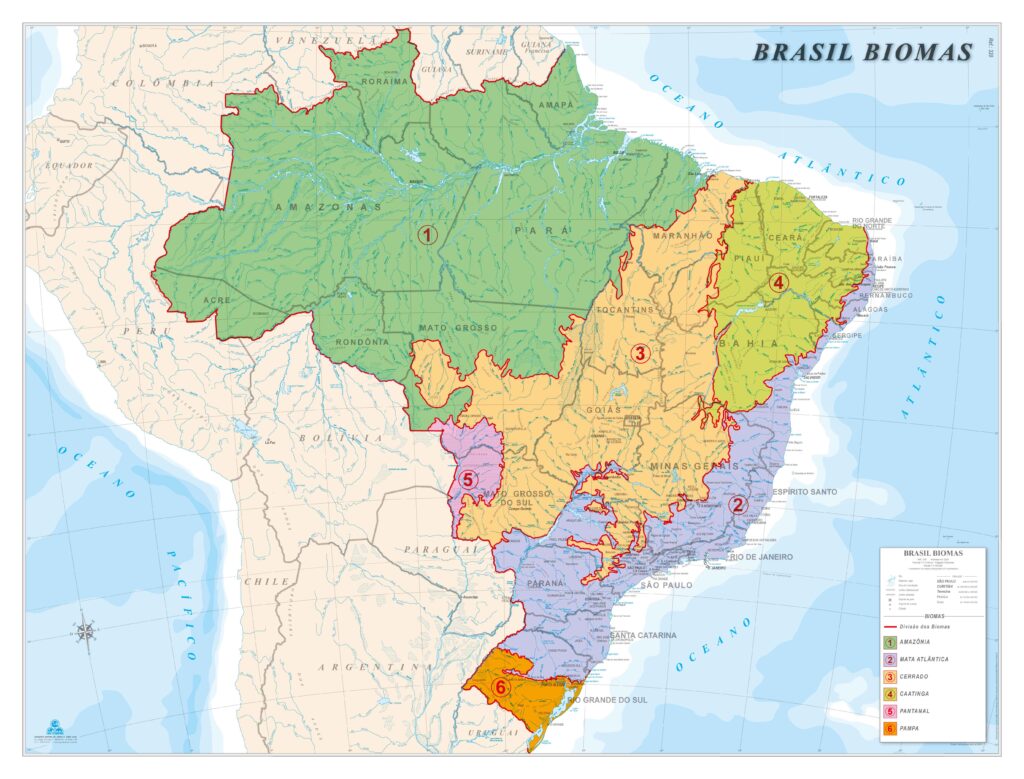 Mapa Do Brasil Biomas - Ref: 320 - 07 - Formato: 1,20x0,90m - GEO Mapas